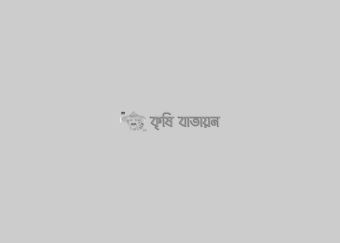 ধান চাষে লাইন- লোগোর ব্যবহারের গুরুত্ব