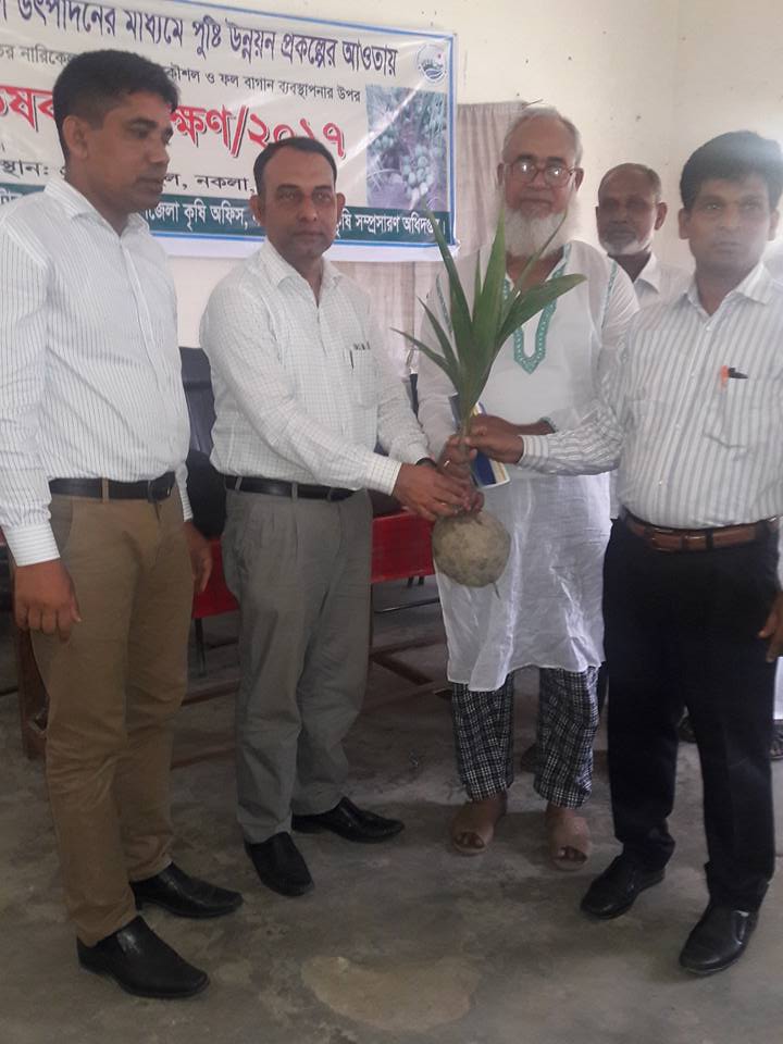 ভিয়েতনামের খাটো জাতের নারিকেল চাষে আগ্রহী হচ্ছে নকলার কৃষক